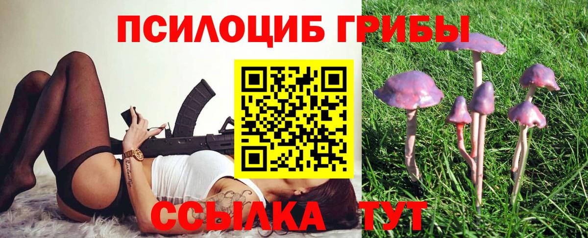 Галлюциногенные грибы ЛСД  Вход с VPN  сколько стоит  Камень-на-Оби 