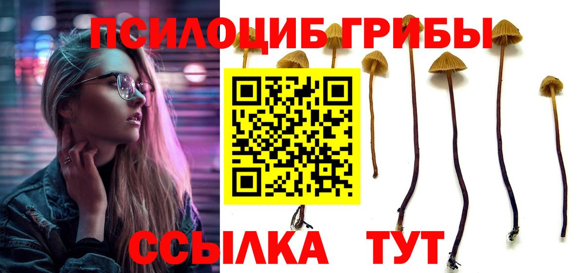 Псилоцибиновые грибы мицелий Камень-на-Оби